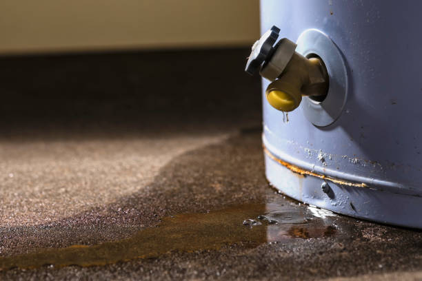 Trusted Anton, TX Water damage restoration Experts