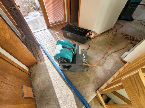 Best Flood restoration services  in Anton, TX