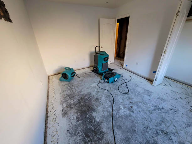 Best Commercial water damage restoration  in Anton, TX
