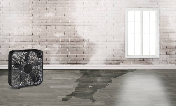 Best Flooded house restoration  in Anton, TX