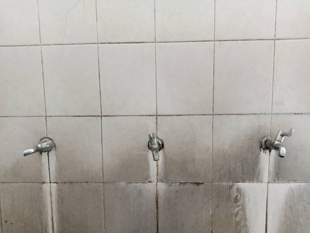 Best Water damage repair service  in Anton, TX