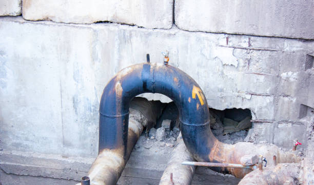 Best Flood damage cleanup  in Anton, TX