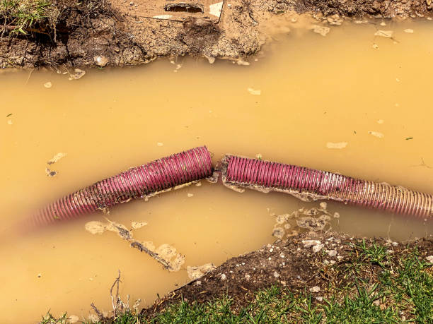 Best Emergency water damage restoration  in Anton, TX